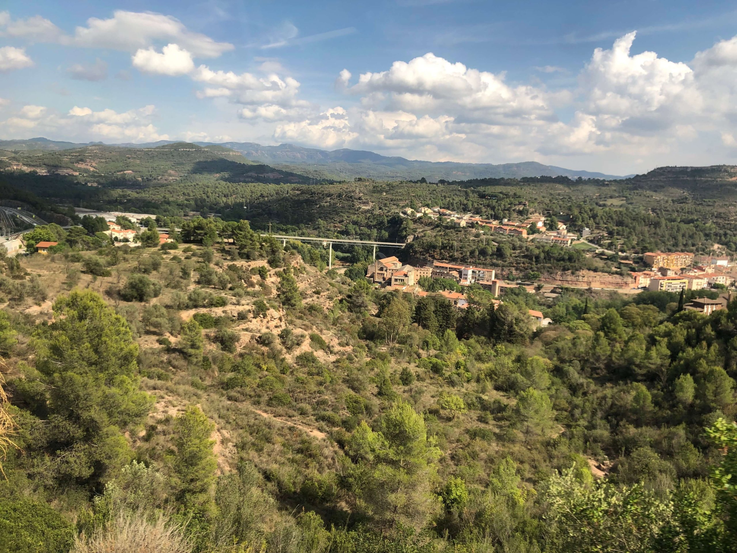 登山電車からの景色