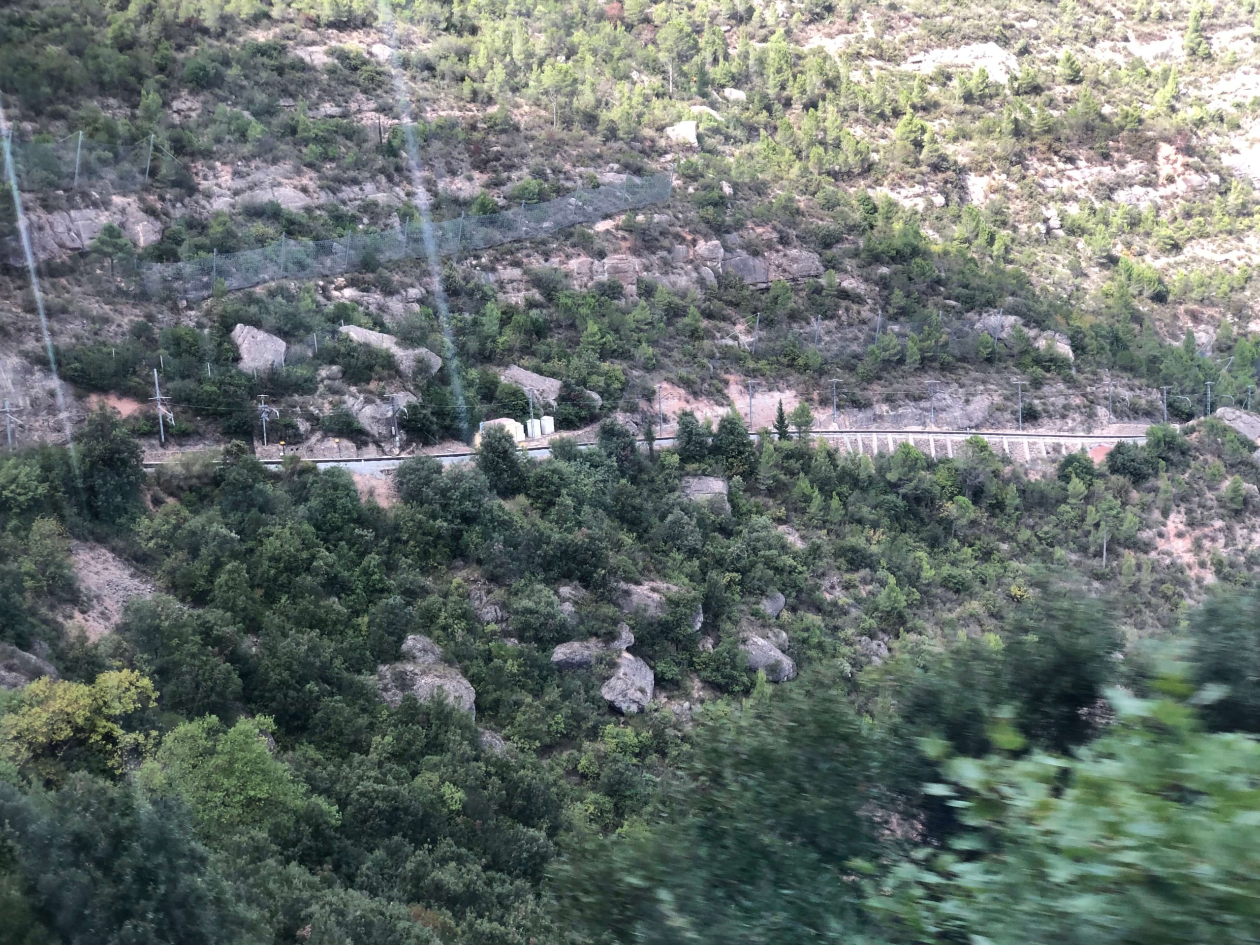 登山電車からの景色