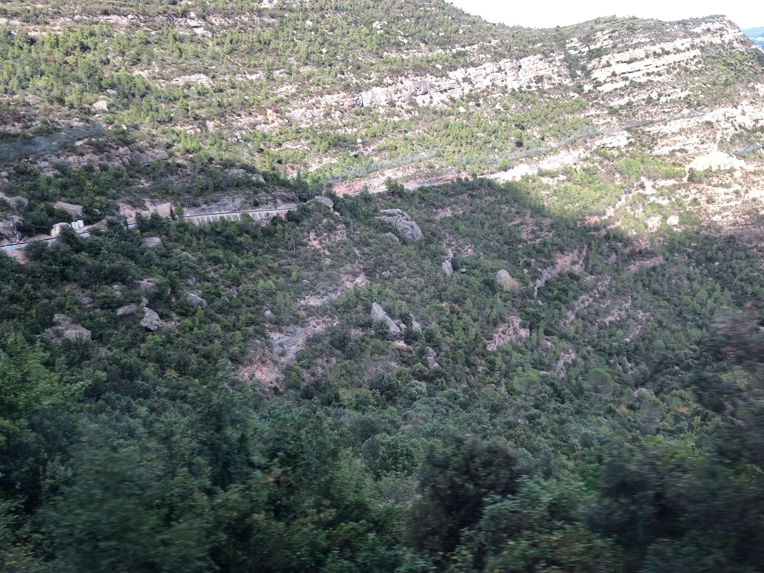 登山電車からの景色