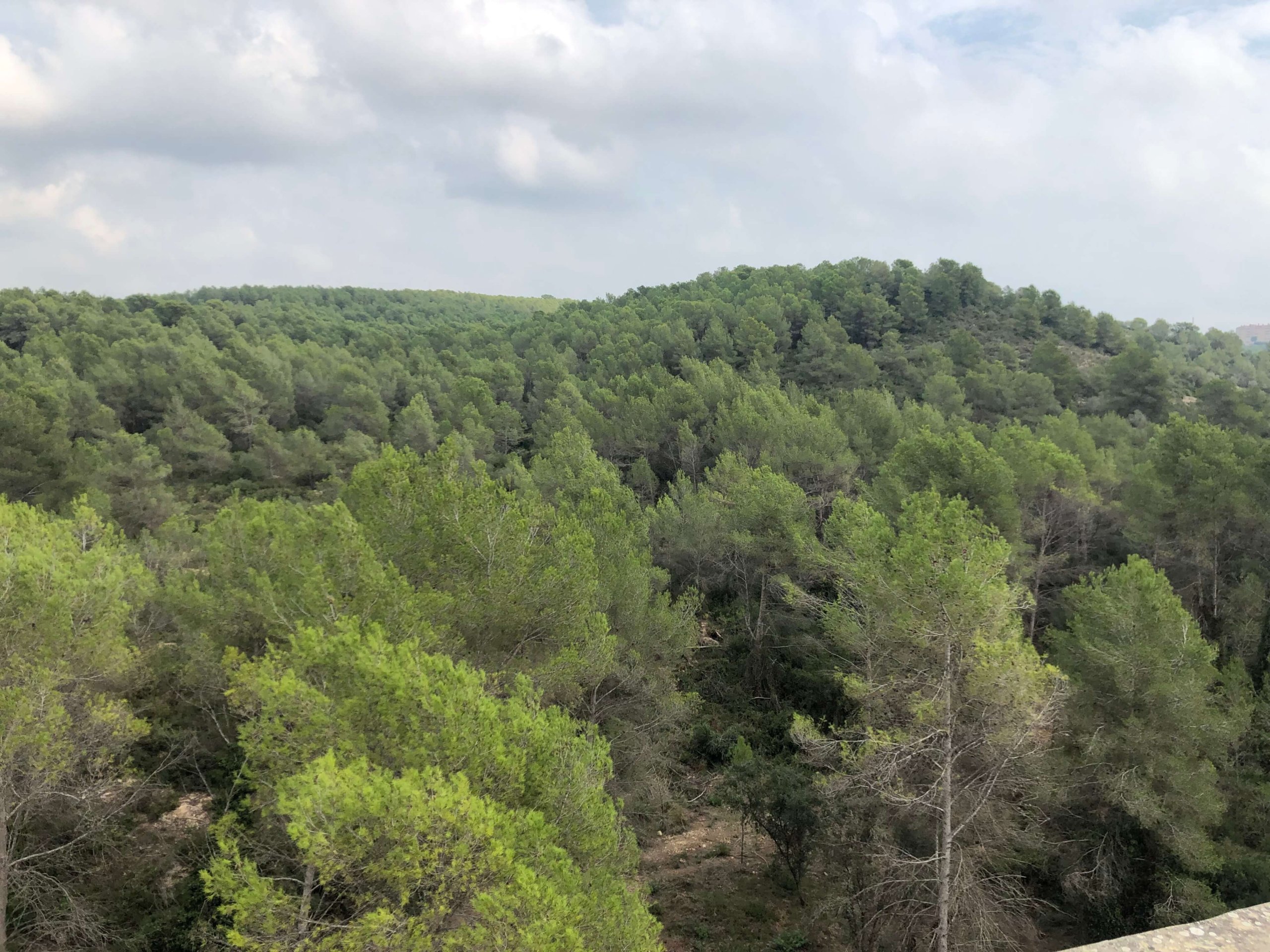 ラス・ファレラス水道橋