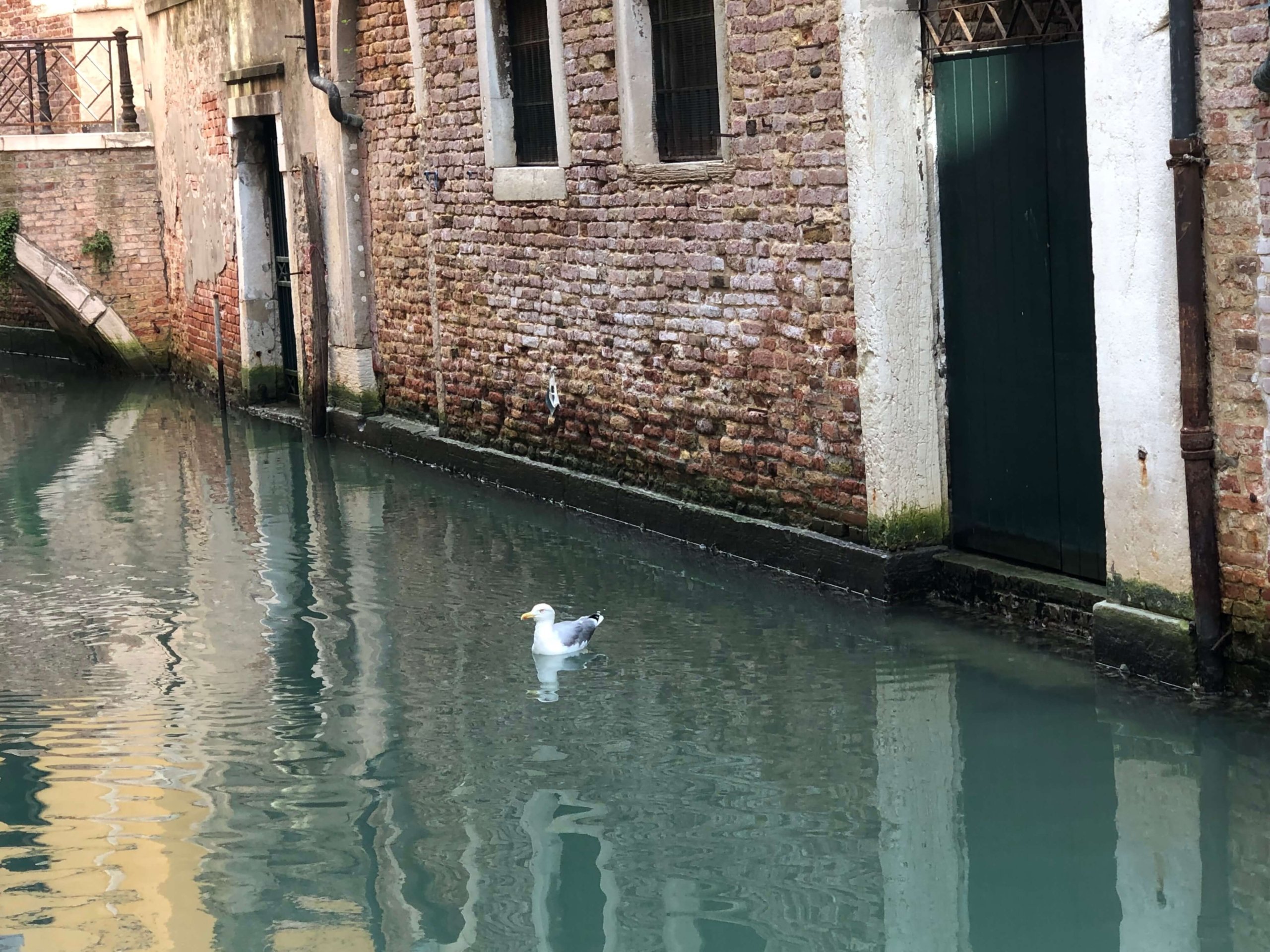 ベネツィア・運河
