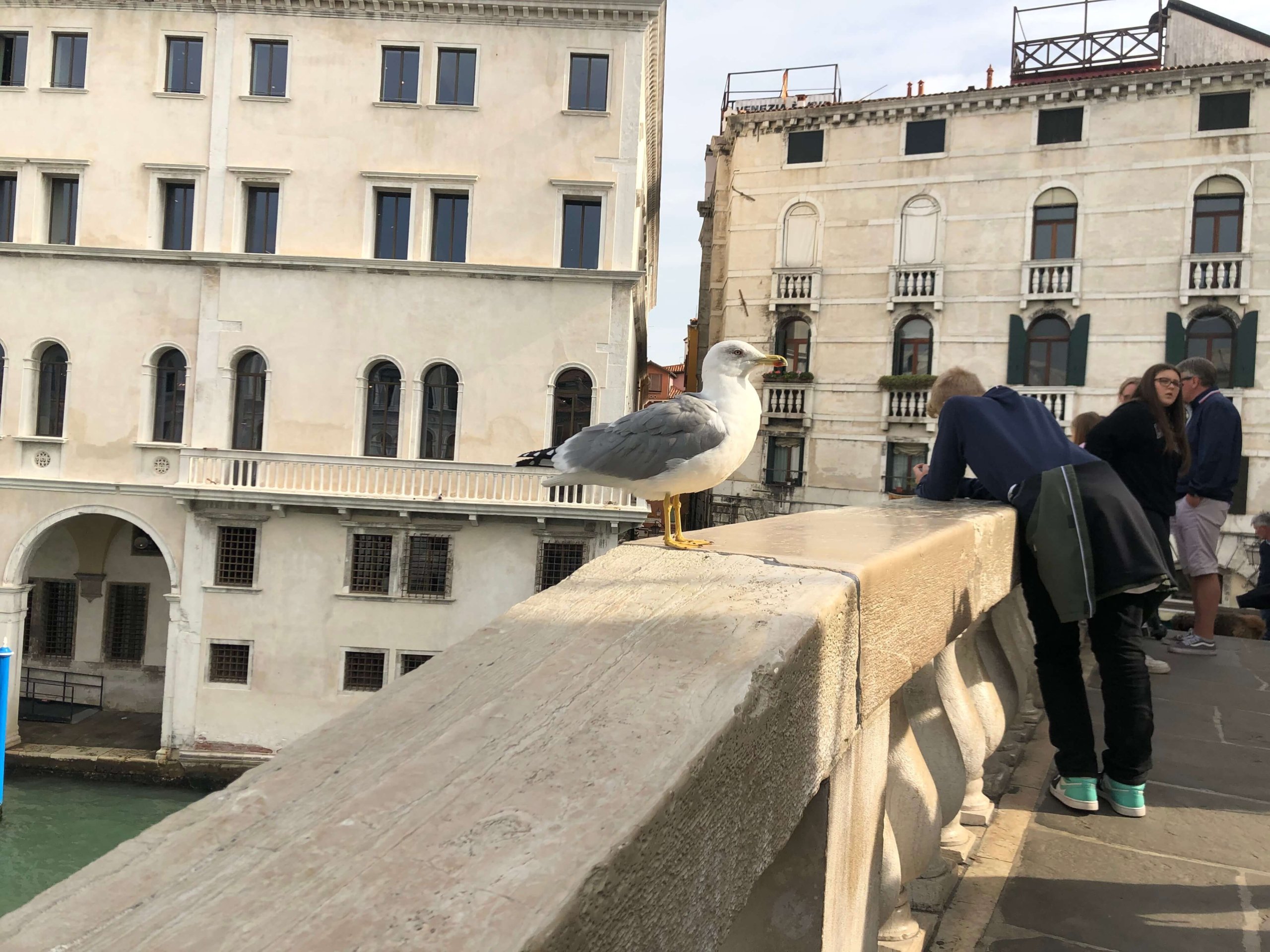 ベネツィア・リアルト橋