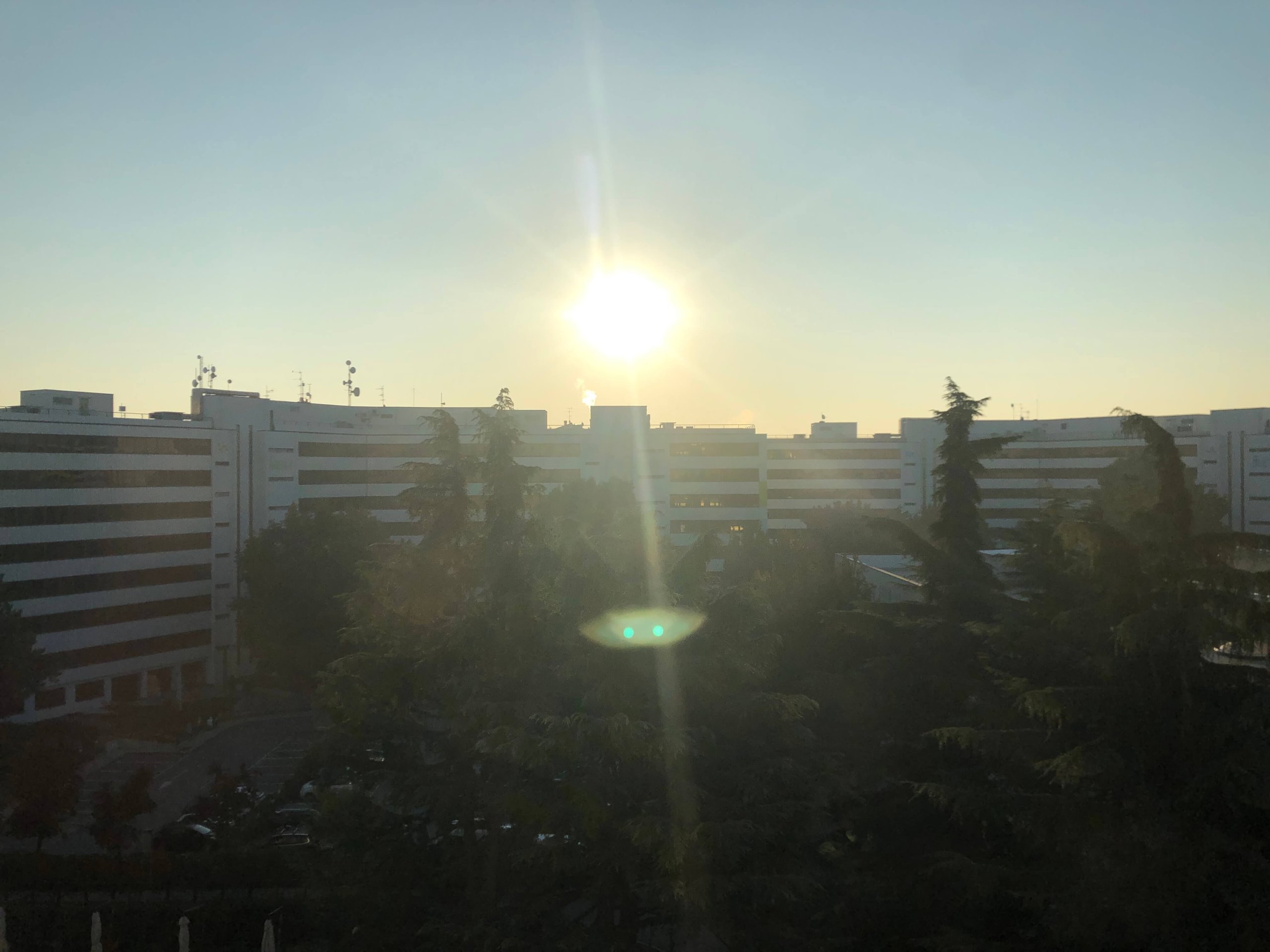 シェラトン・お部屋からの景色