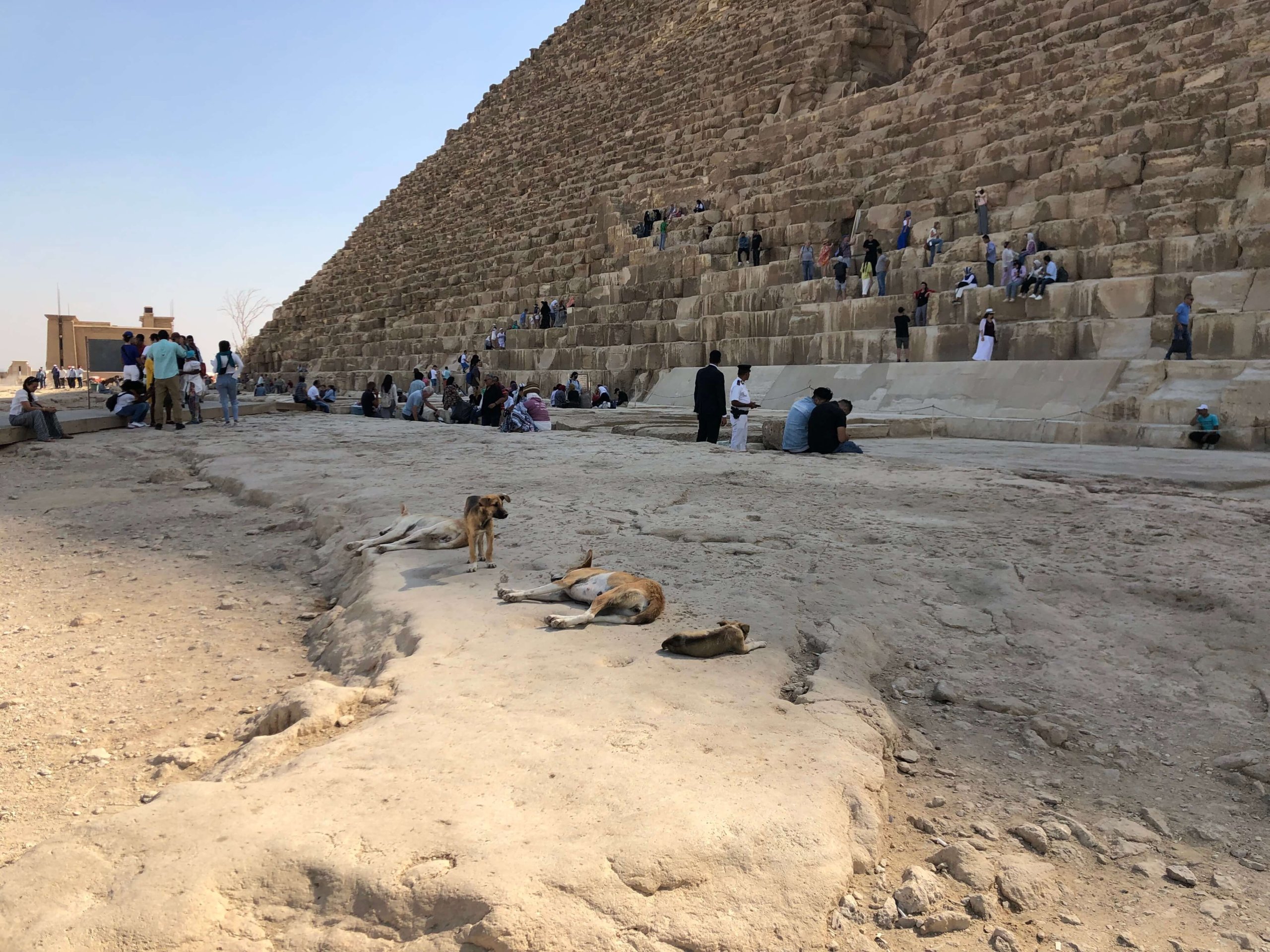 ギザのピラミッド