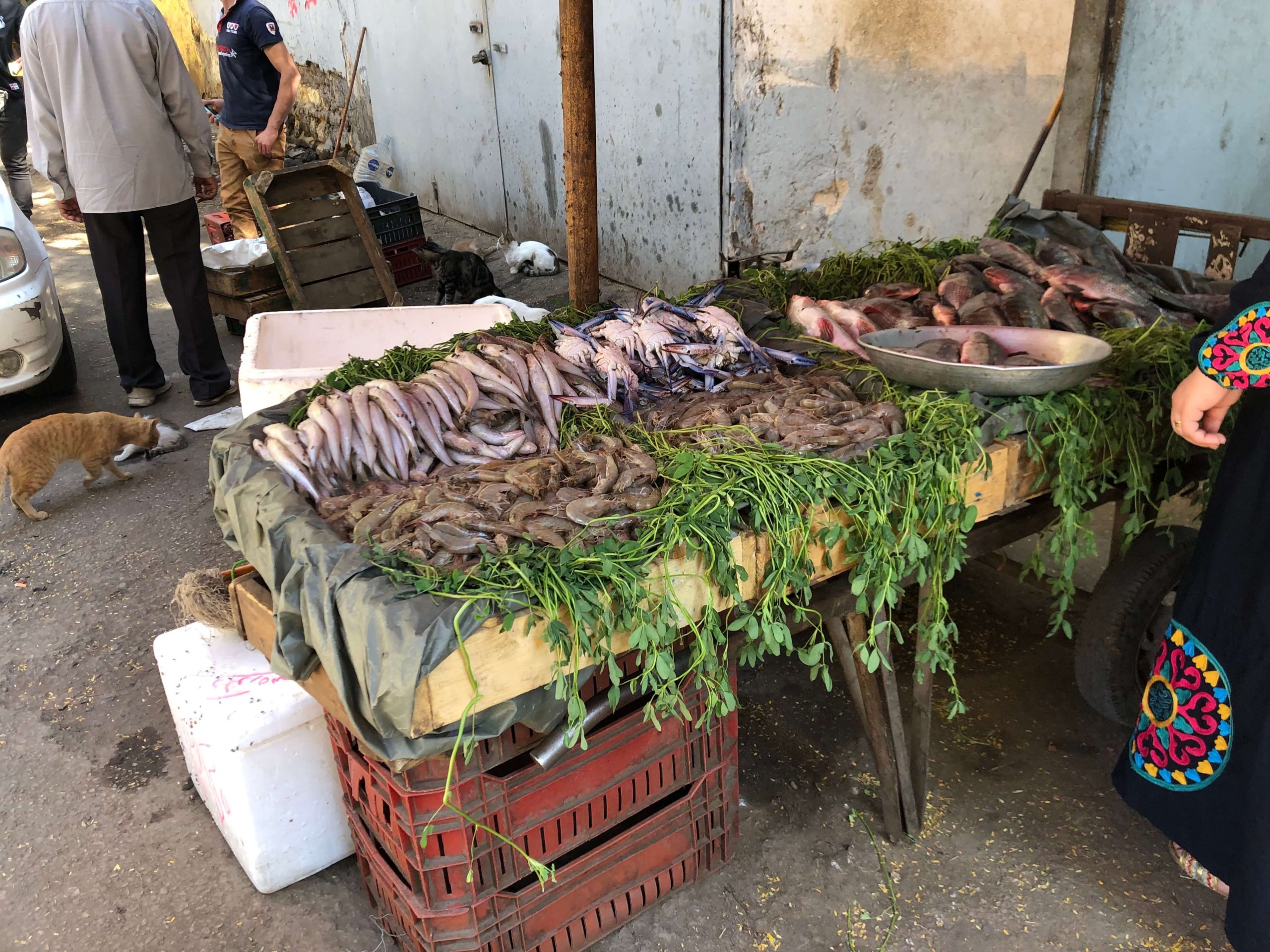 カイロのダウンタウン