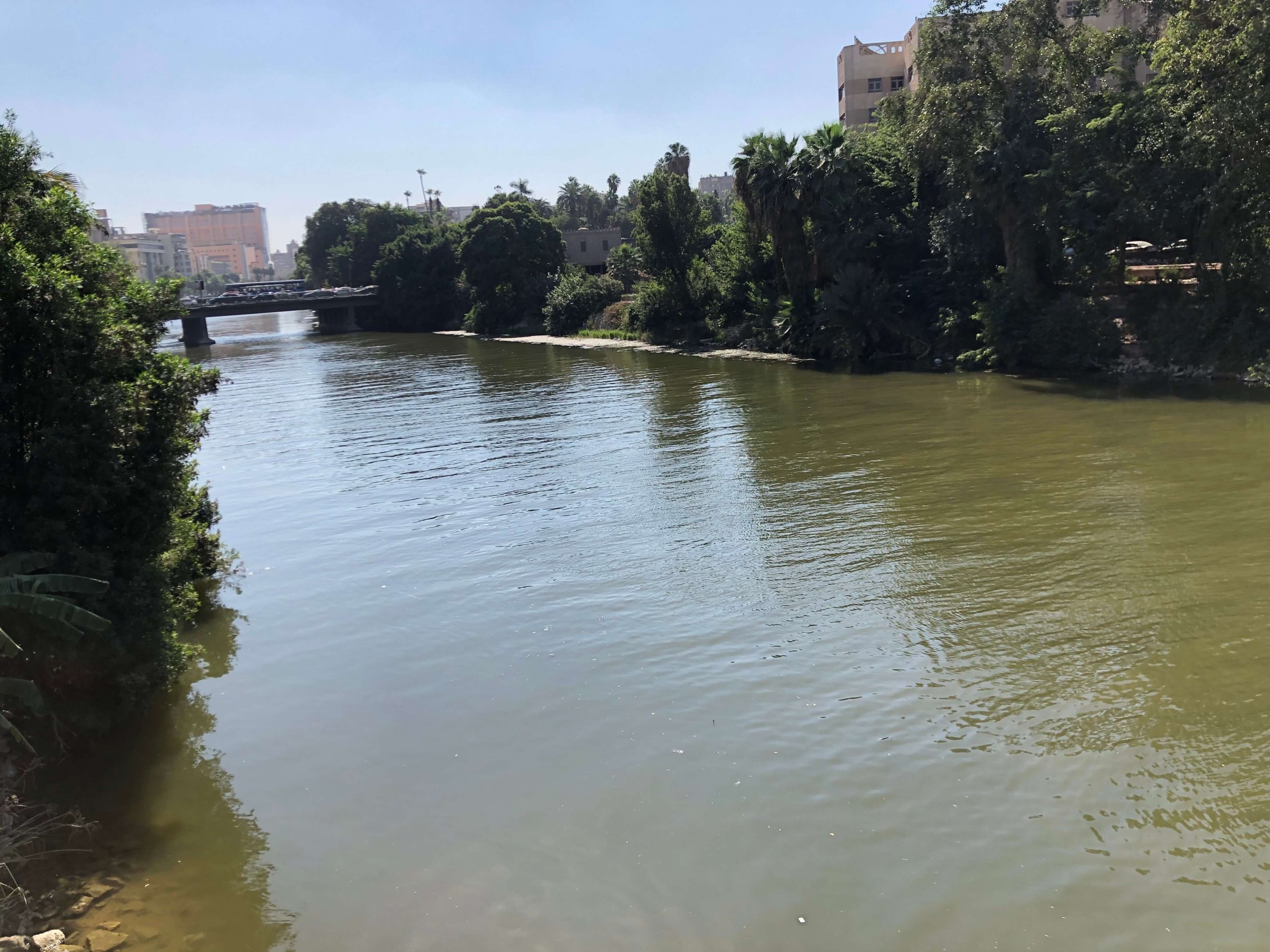 カイロ・ナイル川