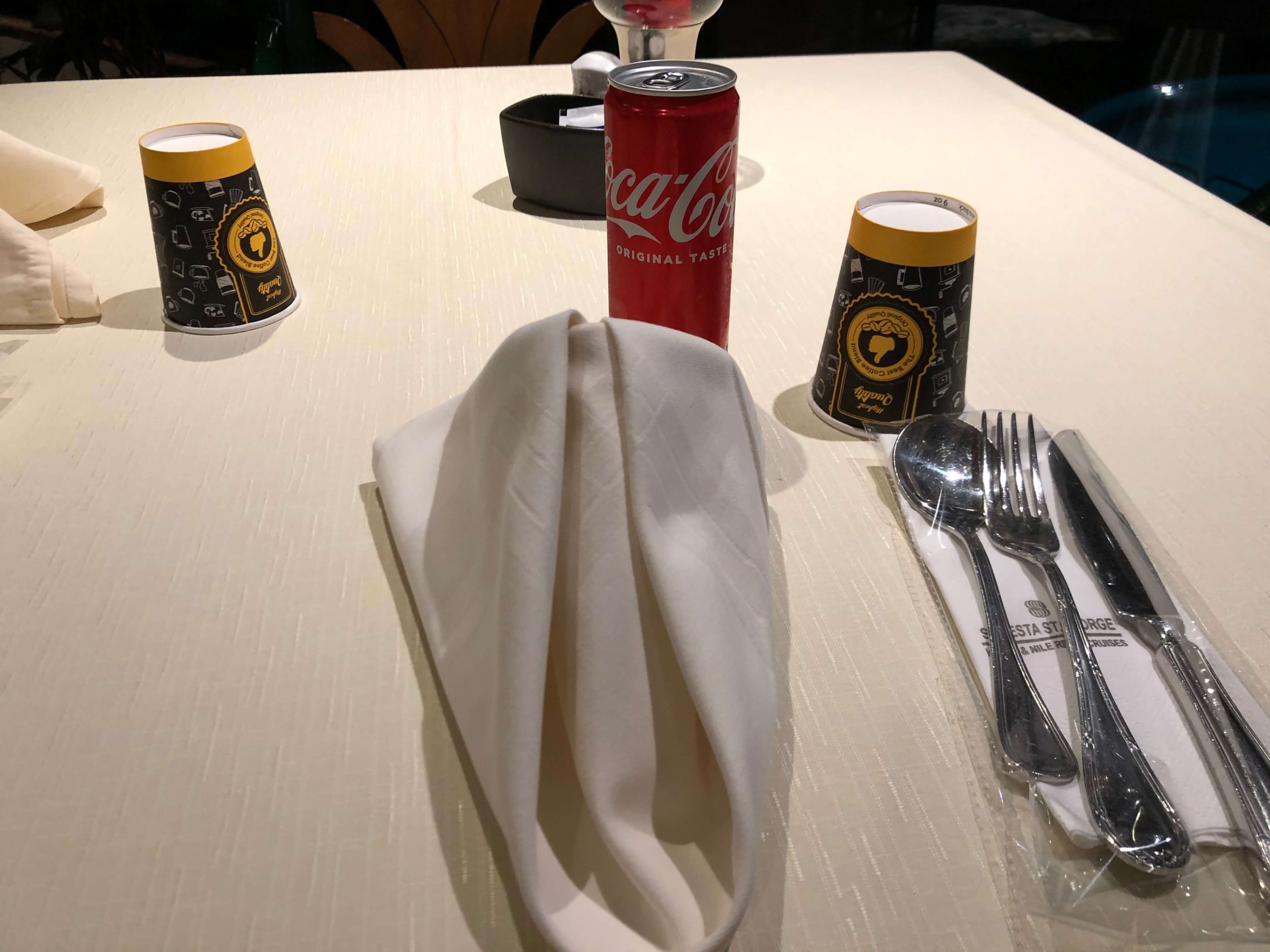 ソネスタ・夕食・コーラ