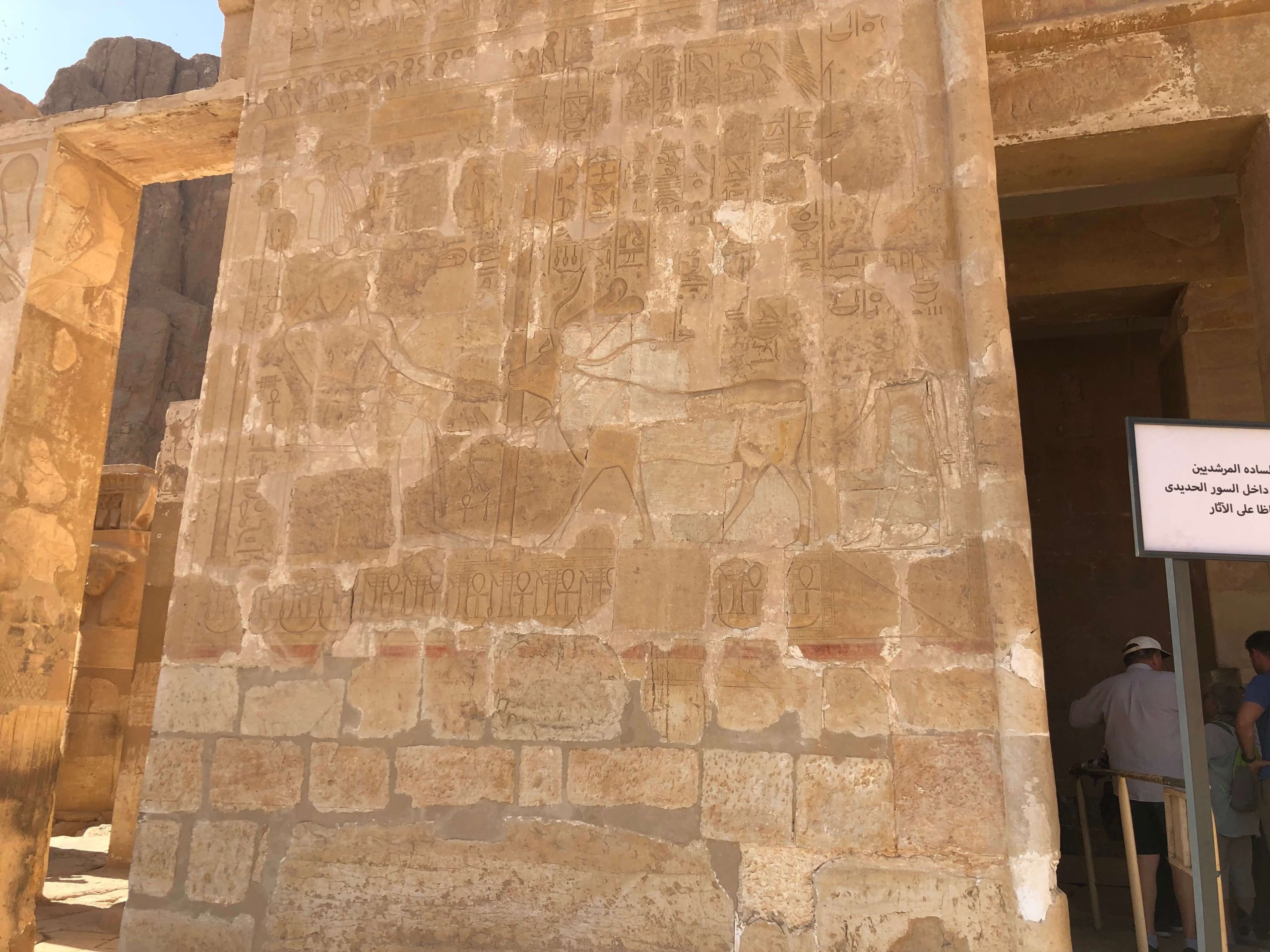 ハトシェプスト女王葬祭殿